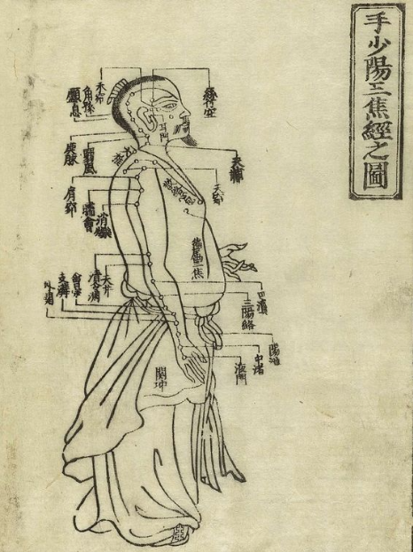 Antiguo diagrama de acupuntura china mostrando puntos y meridianos en el cuerpo humano